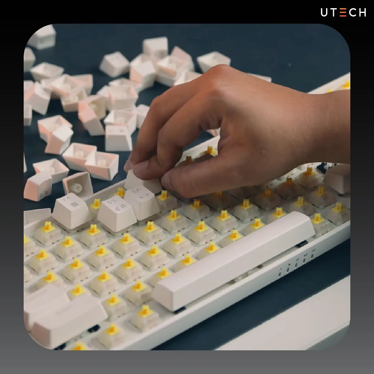 Custom Keyboard ประกอบคีย์บอร์ด-06.webp