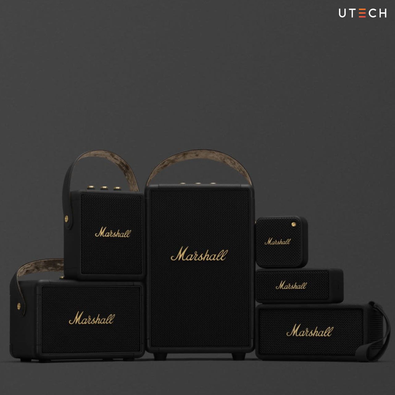 ลำโพง-Marshall-05.jpg