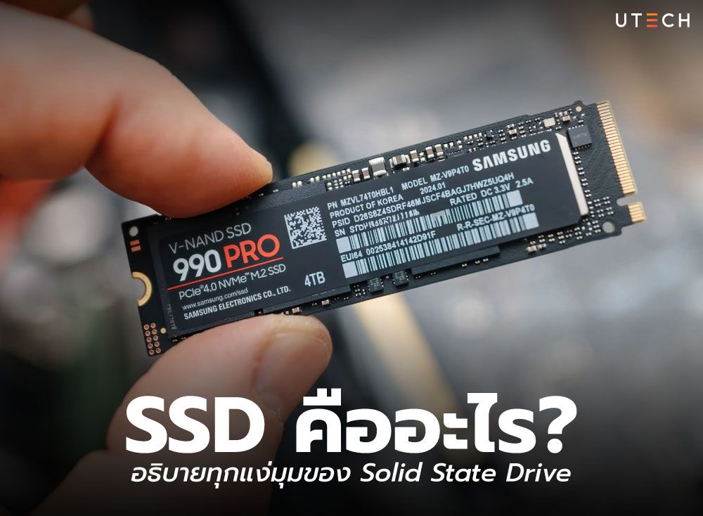 SSD-คืออะไร-01.jpg