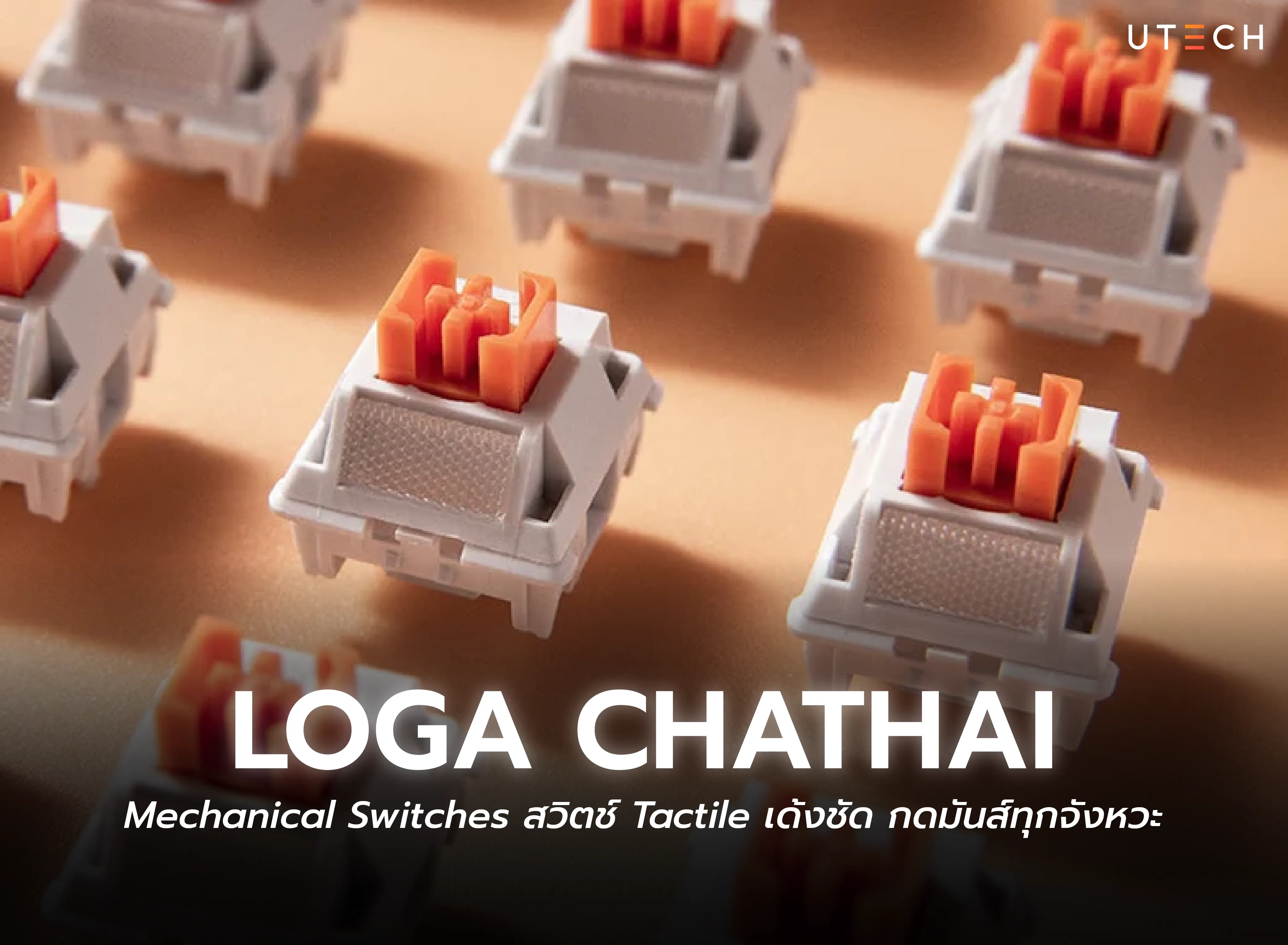 LOGA CHATHAI Mechanical Switches สวิตช์ Tactile เด้งชัด สำหรับ Mechanical Keyboard